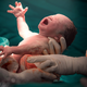 Image for article titled Biggest Misconceptions Men Have About Sexual Reproduction